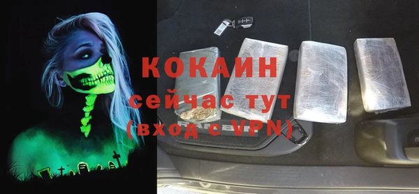 мдпв Магас