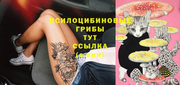 а пвп мука Магадан