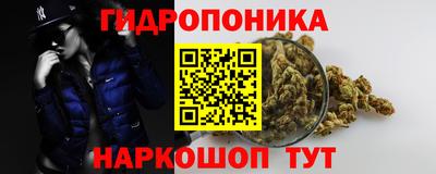 дживик Заводоуковск